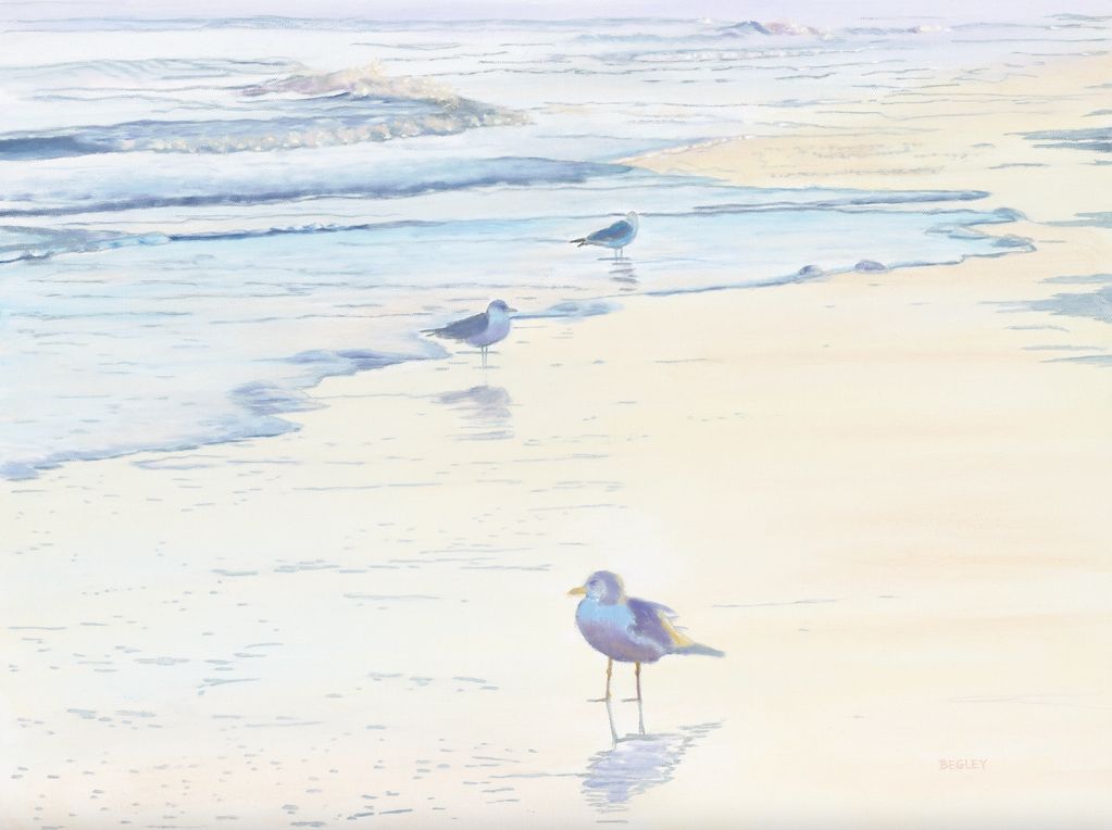 Seagulls on the shore at sunrise, Florida, ocean waves