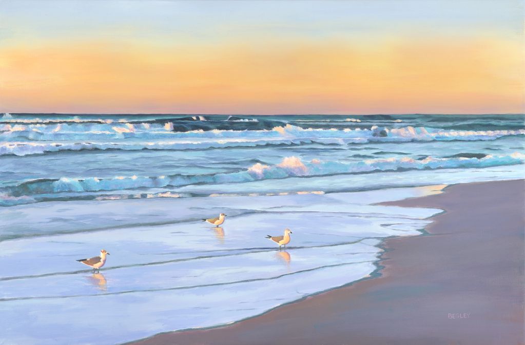 Three seagulls at sunrise, ocean waves like piano keys, Florida