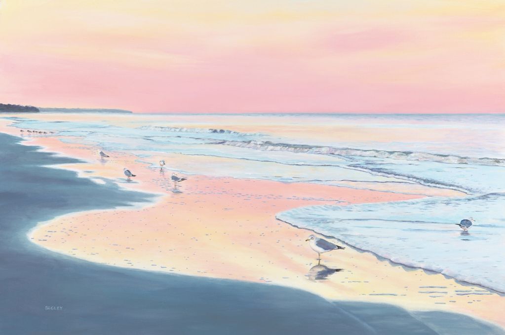 Sunrise on the Beach with seagulls, Florida, ocean waves