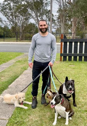 Expert Dog trainer in Moruya Chris Burke on a pack walk with a 5 month old golden retriever.