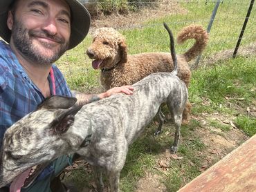 Professional dog trainer Chris Burke with a Groodle and Greyhound on a 'Sniffari' adventure.