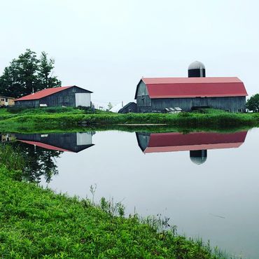 Barns at FairHaven Farm
