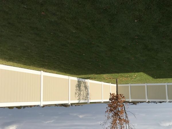 A backyard with a single tree and a beige fence under a cloudy sky.