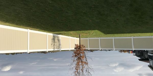 A backyard with a single tree and a beige fence under a cloudy sky.