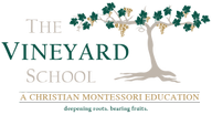 The Vineyard Schools