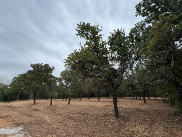 finished product of land clearing.