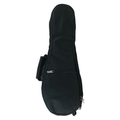 Black padded mandolin gig bag.