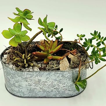 Party ideas with succulent building!