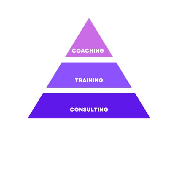 Coaching - Training - Consulting - Boxer Advisors