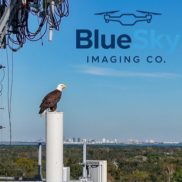 Bald eagle perched on a pole with city skyline and logo.