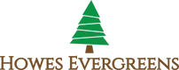Howes Evergreens