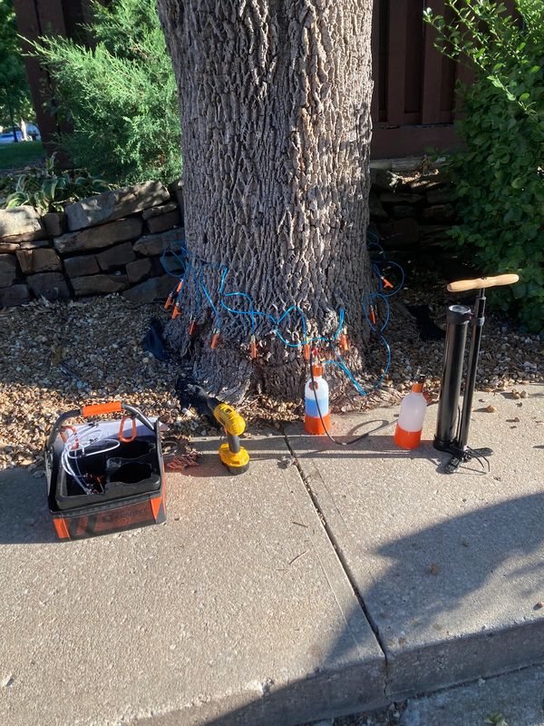 Tree Service: Treating an ash tree to prevent Emerald Ash Borer infection in Sedalia, Missouri 2022