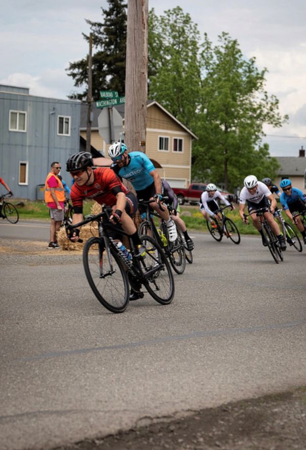 Certified Arborist, Chris Rippey not doing tree pruning or tree service.