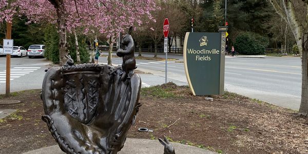 Woodinville Sports Fields sign and sculpture during spring 2021