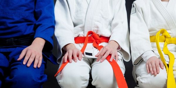 Three children with different karate belts 