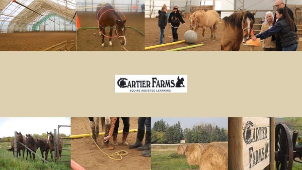 Cartier Farms, pioneer for EAL building block program to help create life skills