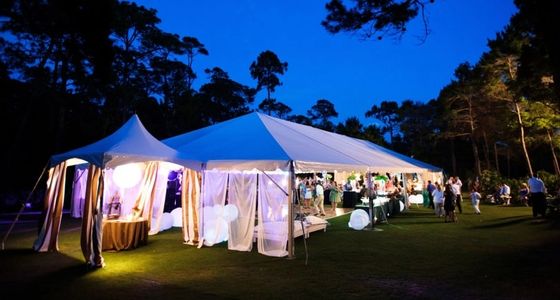 alys beach green wedding dj, alys green wedding, alys green dj, dj for wedding in alys beach