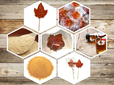 MAPLE SYRUP PRODUCTS