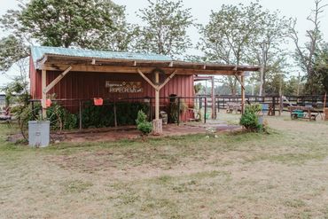 Cross tie. Feeding area. Washrack.