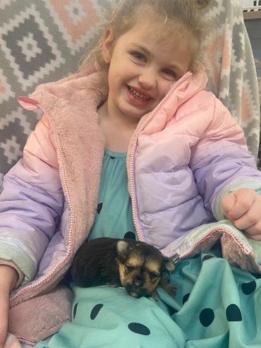 kids and puppies, yorkie