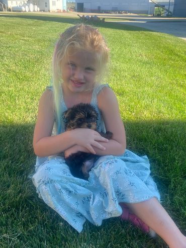 kids and puppies, yorkie