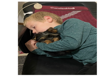 sleeping kids and puppies, yorkie