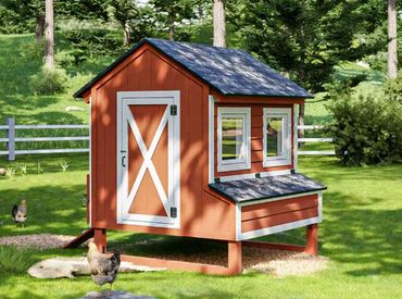 A red and white chicken coop in a green backyard with chickens.