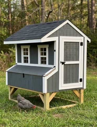 Backyard and outside building, chicken coop