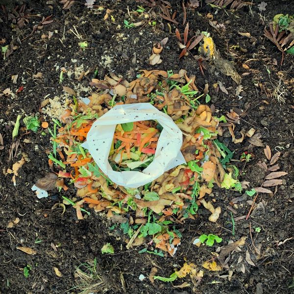 Eco friendly packaging in a home compost