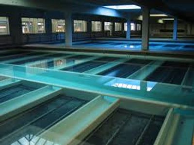 steel and concrete analysis