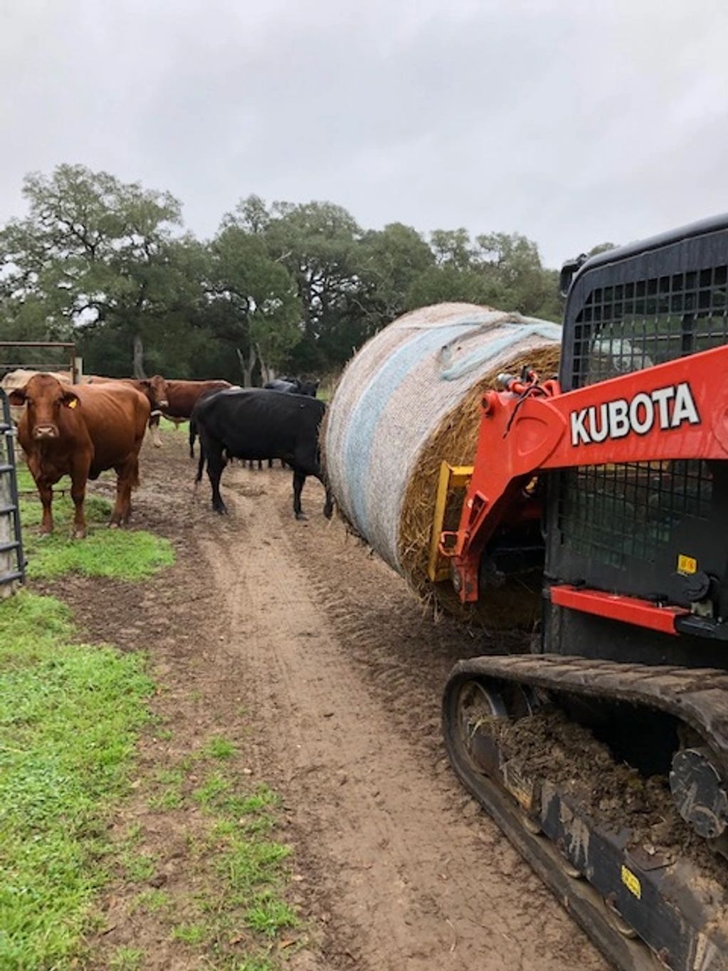 We offer various ranching services and maintenance programs.