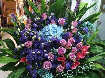 藍色繡球,紫玫瑰,紫桔梗,白色蘭花