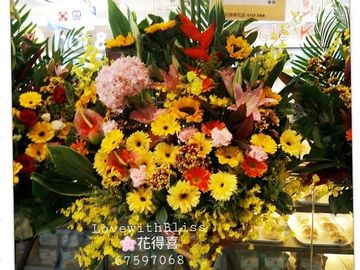 向日葵,粉紅色繡球,黃色太陽菊,紅掌,跳舞蘭,橙太陽菊