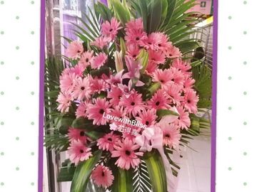 BK32 開張花籃