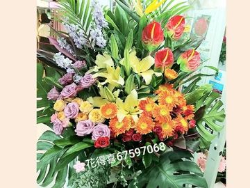 紫玫瑰,紅掌,百合花,太陽菊,天堂鳥