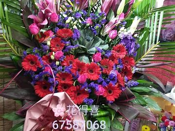 太陽菊,百合花,葉牡丹 ,玫瑰花,開張花籃