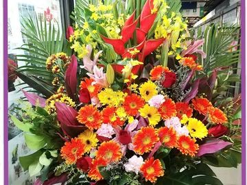 粉百合,橙太陽菊,紅玫瑰,跳舞蘭,大鳥