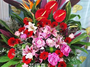 開張花籃,粉牡丹花,紅掌,百合花,太陽菊
