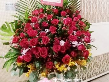 紅色玫瑰花,富貴豆,胡姬,滿天星,開張花籃