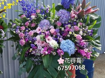 繡球花,玫瑰花,胡姬,百合花,飛燕,太陽菊,滿天星,開張花籃,超大花籃