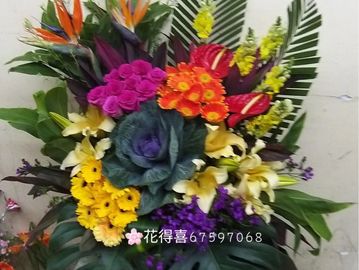 新派開張花籃