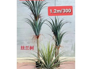 仿真植物園林,仿真植物,園林佈置