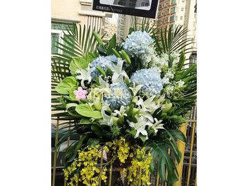 藍繡球花,白百合,白金魚花,綠掌,跳舞蘭,帛事花籃 ,白事花籃