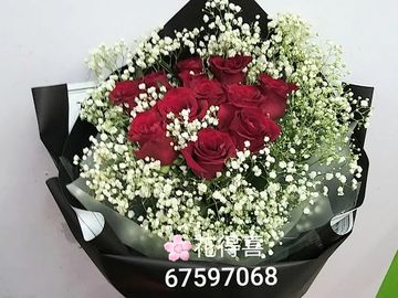 紅玫瑰,滿天星