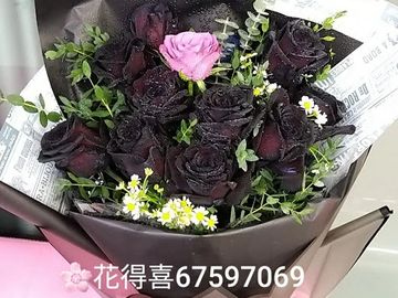 黑玫瑰花束,紫玫瑰花束