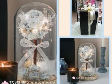 保鮮花,幸福樹