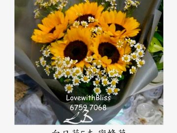 向日葵,蜜蜂菊