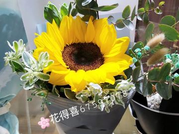 向日葵花束