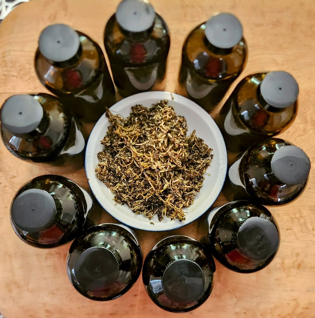 Organig Hair & Scalp Oil