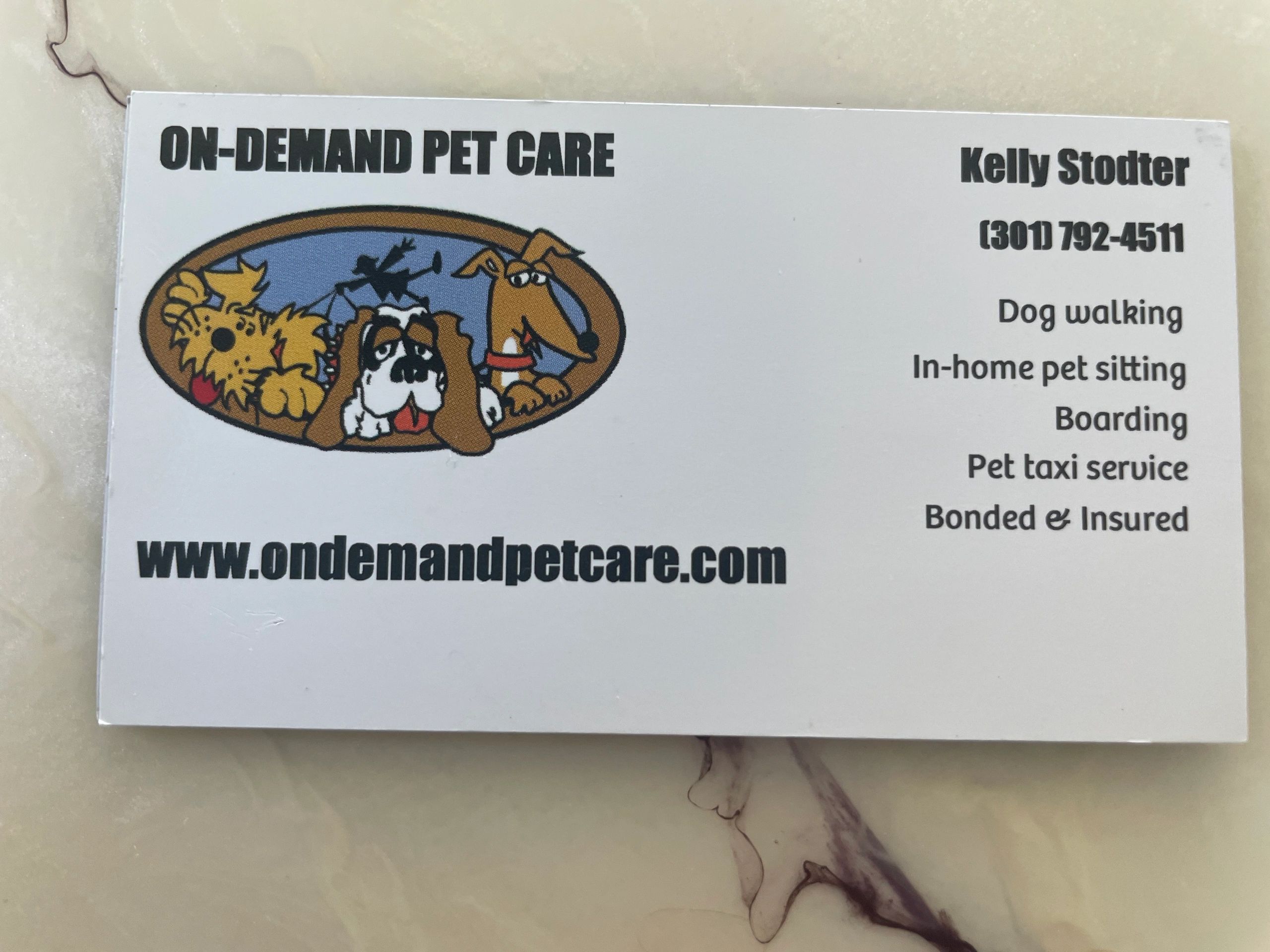 On demand, pet care provides dog walking and pet care for all animals.
Boarding and pet sitting